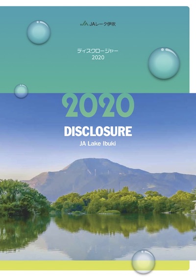 ディスクロージャー2020