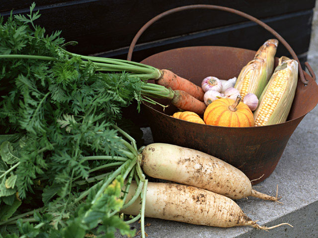 「家庭菜園」広報2026年3月号を掲載しました